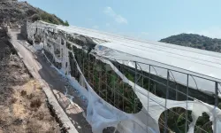 Yangından zarar gören seralar için Antalya Büyükşehir harekete geçti