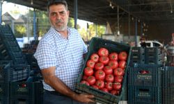 Tarladaki 30 liralık domates markette 100 TL’yi buluyor