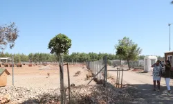 Antalya’da sokak hayvanlarına 105 kişilik şefkat eli