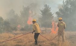 Yangına su taşıdılar, faturayı Büyükşehir ödeyecek