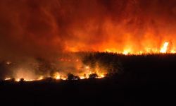 Aksu'da rüzgar gece boyunca alevleri yaydı!