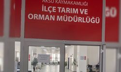 Antalya’da böyle müdür görülmedi! Telefon numarasını kapıya astı