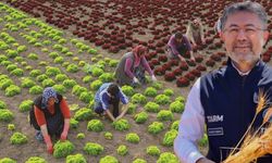 Antalya’da üreticiye nefes aldıracak destek! 30 milyar lira ekleniyor