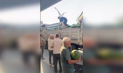 Babasının hayrına bir kamyon karpuz dağıttı