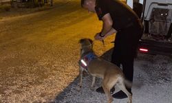 Manavgat’ta kayıp kadın, kadavra köpekleri ile aranıyor!