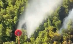 Manavgat'ta yangın!