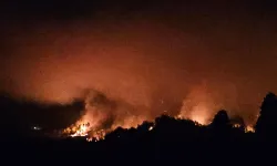 Serik'te yangın sürüyor! Ekipler gece boyunca müdahale etti