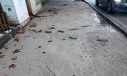 Antalya’da yeni kaldırımlar tartışma yarattı: Çatlak taşlar, hatalı rampalar, bozuk asfalt