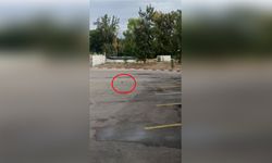 Antalya Otogarı’nda fare alarmı!