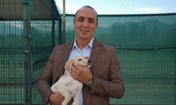 Aksu yangınından kurtuldular, şimdi tek istedikleri sıcak bir yuva