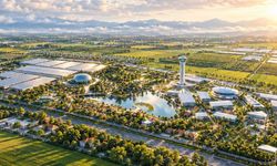 COP31 için Antalya’da 1,8 milyon liralık bitki ihalesi!
