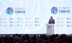 COP31 için altın yaldızlı Mesnevi!