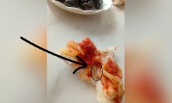 Antalya'da ekmeğin içinden çatal iğne çıktı!