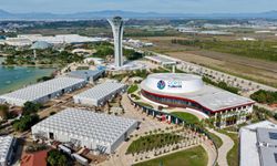 60 bin ağacın kaderi COP31’in açılış günü belli olacak!