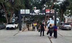 Kuğulu Park bilmecesi