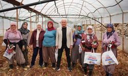 Finike'de toprağa emek veren kadınlara Mustafa Geyikçi’den ziyaret