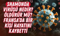 Shamonda virüsü nedir, öldürür mü? Fransa’da bir kişi hayatını kaybetti