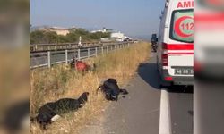 Tatiana Ozolina davasında dikkat çeken çelişkiler: Kask kamerası nerede?