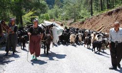 Torosların yaylalarında göç başladı: Yörükler sahile dönüyor