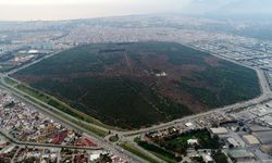 Zeytinpark sözleşmesi iptal ediliyor! Muhittin Böcek’in imzasına Sayıştay incelemesi