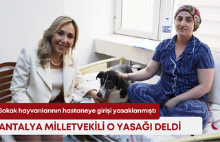 Sokak hayvanlarının hastaneye girişi yasaklanmıştı! Antalya Milletvekili o yasağı deldi!