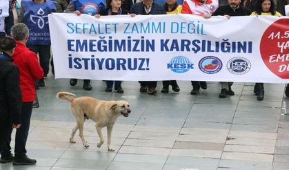 Antalya’da yürekleri ısıtan görüntü! Eylemcileri bir an olsun bırakmadı…