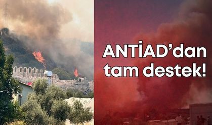 ANTİAD Başkanı Köleoğlu: “Her türlü işbirliğine açığız”