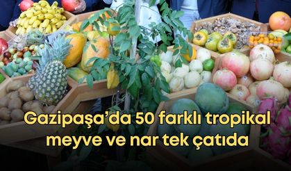 Gazipaşa’da festival şöleni: 50 farklı tropikal meyve ve nar tek çatıda