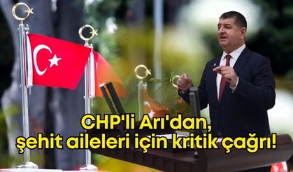 CHP'li Cavit Arı'dan şehit aileleri için kritik çağrı!