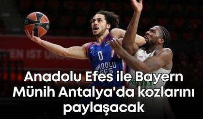 Anadolu Efes ile Bayern Münih Antalya'da kozlarını paylaşacak