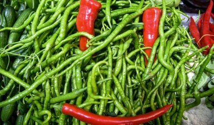 Uzmandan uyarı: Acı biber fazlası sağlığı olumsuz etkileyebilir