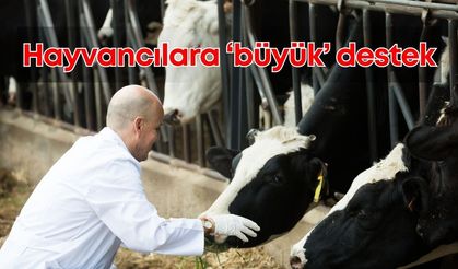 Antalya Büyükşehir, 2025 yılında hayvancıları unutmadı! Yem desteği yüz güldürdü