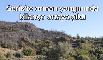 Serik'te 5 saat süren orman yangınında bilanço ortaya çıktı