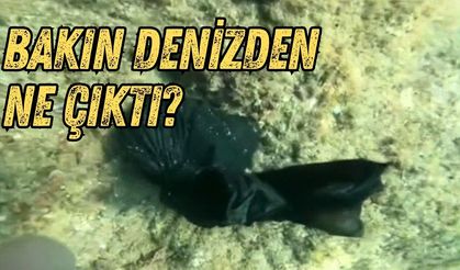 Denizin dibinden çıkan şaşırtan gerçek