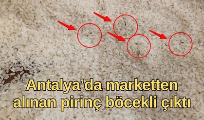 Antalya’da marketten alınan pirinç böcekli çıktı