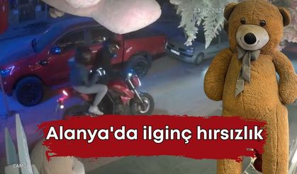 Alanya'da ilginç hırsızlık: 100 TL bırakıp 5 bin TL'lik ayıyı çaldılar