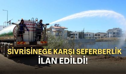 Antalya’da sivrisineğe karşı seferberlik ilan edildi!