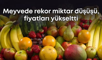 Meyvede rekor miktar düşüşü, fiyatları yükseltti