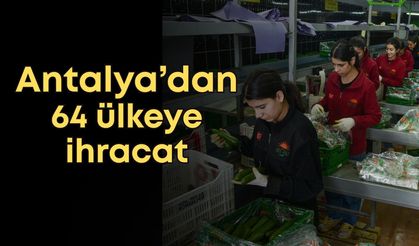 Türkiye’nin sebze üretim üssü Antalya’dan 64 ülkeye ihracat
