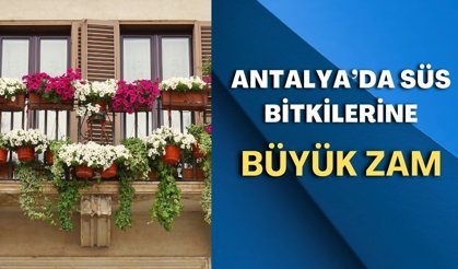 Antalya’da süs bitkilerine büyük zam!