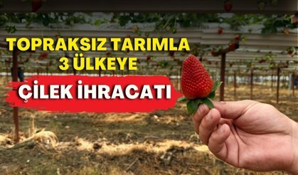 Antalyalı mühendisin başarı hikayesi! Topraksız tarımla 3 ülkeye çilek ihracatı