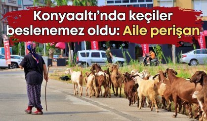 Konyaaltı Arapsuyu'nda şikayet sonrası keçiler beslenemez oldu: Çiftçi aile perişan