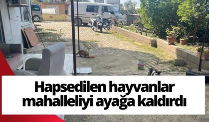 Alanya'da hapsedilen hayvanlar mahalleliyi ayağa kaldırdı: O  ise silah gösterdi!