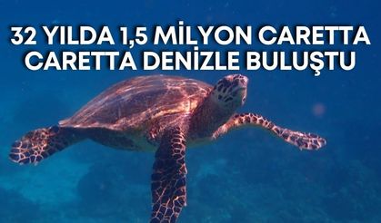 Belek’te 32 yılda 1,5 milyon caretta caretta yavrusu denizle buluştu