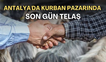Antalya'da kurban pazarında son gün telaşı: Alıcı da satıcı da pazarlık peşinde