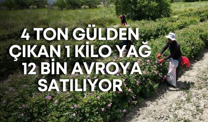 4 ton gülden çıkan 1 kilo yağ 12 bin avroya satılıyor