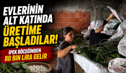 Evlerinin alt katında üretime başladılar! İpek böceğinden 80 bin lira gelir