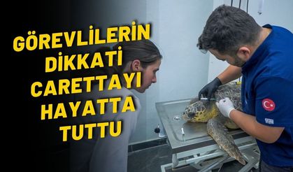 Görevlilerin dikkati carettayı hayatta tuttu: Vücudundan çıkanlar şaşırttı!