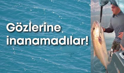 Antalya'da dev akya şoku: 56 kiloluk kuzu balığı yakalandı