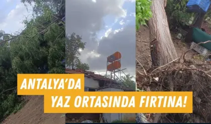 Antalya'da yaz ortasında fırtına! Çatılar uçtu, ağaçlar devrildi